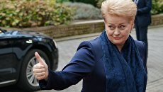 Президент Литвы Даля Грибаускайте. архивное фото Президент Литвы Даля Грибаускайте. архивное фото