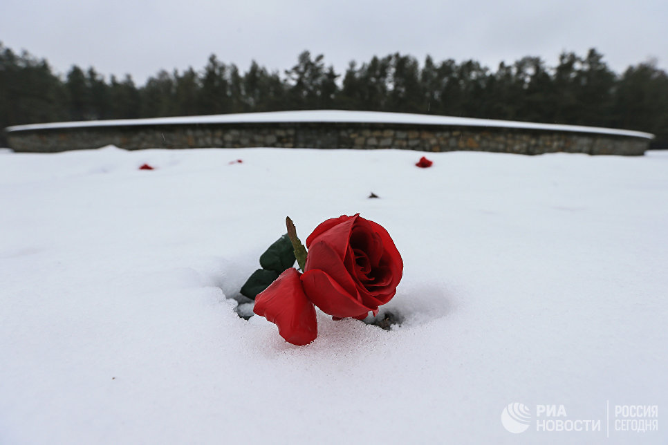Красная роза у мемориала Курган на месте лагеря смерти Красная роза у мемориала Курган на месте лагеря смерти