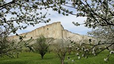 Белая скала в Белогорском районе Крыма. Архивное фото Белая скала в Белогорском районе Крыма. Архивное фото