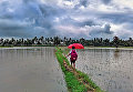 Anindya Phani. Journey to school Anindya Phani. Journey to school