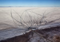Matjaz Krivic. Open Veins of Latin America Matjaz Krivic. Open Veins of Latin America