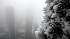 Туман в Москве. Архивное фото Туман в Москве. Архивное фото