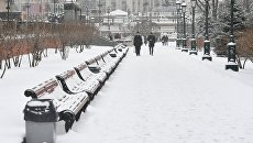 Прохожие в Александровском саду во время снегопада в Москве. Архивное фото Прохожие в Александровском саду во время снегопада в Москве. Архивное фото