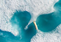 Снимок Над белым медведем (Above the polar bear) фотографа Florian Ledoux, взявший гран-при конкурса 2017 SkyPixel Photo Contest Снимок Над белым медведем (Above the polar bear) фотографа Florian Ledoux, взявший гран-при конкурса 2017 SkyPixel Photo Contest