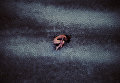 Снимок Возрождение (-The Rebirth-) фотографа Andrea, занявший третье место в категории Портрет.Профессионалы Снимок Возрождение (-The Rebirth-) фотографа Andrea, занявший третье место в категории Портрет.Профессионалы