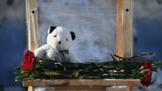 Цветы в память о жертвах крушения самолета Ан-148 Саратовских авиалиний в районе места трагедии. 13 февраля 2018 Цветы в память о жертвах крушения самолета Ан-148 Саратовских авиалиний в районе места трагедии. 13 февраля 2018