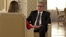 Российский посол объяснил, почему Австрия не поддержала высылку дипломатов Российский посол объяснил, почему Австрия не поддержала высылку дипломатов