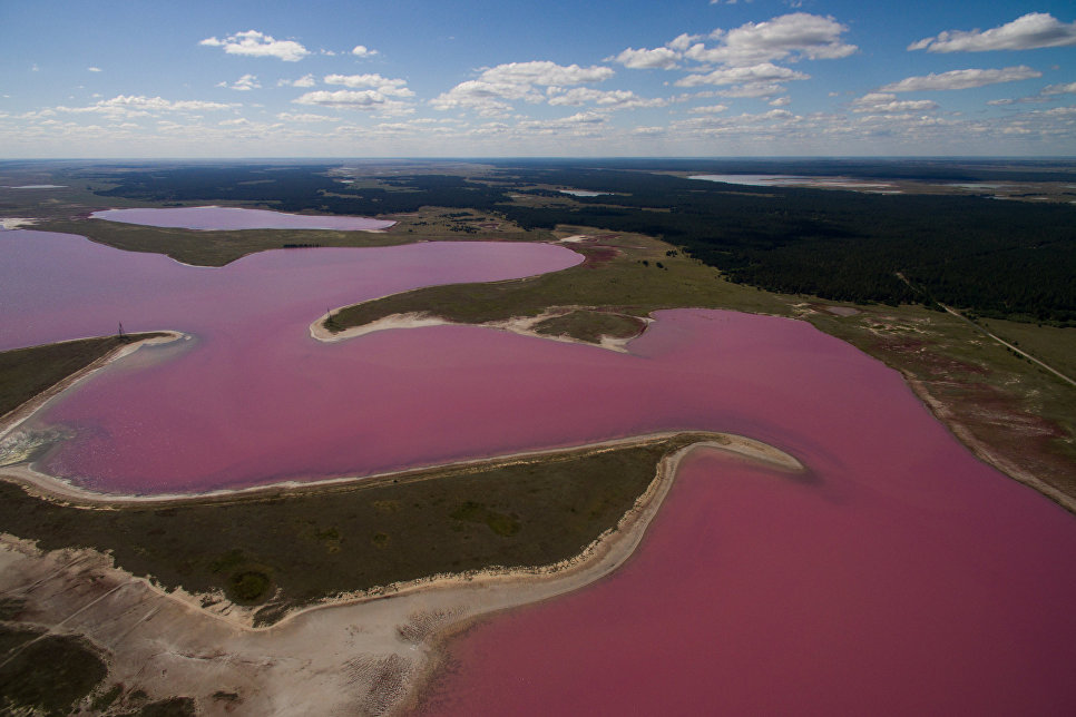 Малиновое озеро михайловский район алтайский край фото