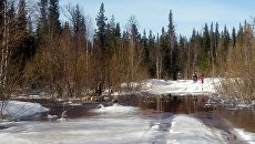 Лесной ручей в Коми, где утонул тягач ГАЗ-71. 16 мая 2018 Лесной ручей в Коми, где утонул тягач ГАЗ-71. 16 мая 2018
