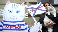 Девушка и эрмитажный кот-оракул Ахилл рядом с фигурой кота-футболиста, расписанной в рамках художественного марафона Моя любовь - футбол и кот! в Санкт-Петербурге. Архивное фото Девушка и эрмитажный кот-оракул Ахилл рядом с фигурой кота-футболиста, расписанной в рамках художественного марафона Моя любовь - футбол и кот! в Санкт-Петербурге. Архивное фото