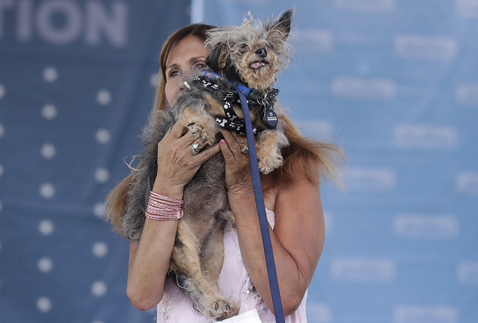 Собака на конкурсе Самая уродливая собака в мире(World's Ugliest Dog) Собака на конкурсе Самая уродливая собака в мире(World's Ugliest Dog)