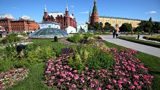 Цветник на Манежной площадь в Москве. Архивное фото Цветник на Манежной площадь в Москве. Архивное фото