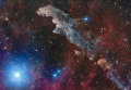 Работа фотографа Mario Cogo Rigel and the Witch Head Nebula, вошедшая в шорт-лист Insight Astronomy Photographer of the Year 2018 Работа фотографа Mario Cogo Rigel and the Witch Head Nebula, вошедшая в шорт-лист Insight Astronomy Photographer of the Year 2018