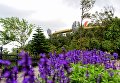 Золотой мост во Вьетнаме Золотой мост во Вьетнаме