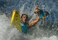 Ежегодный турнир по собачьему серфингу Surf City Surf Dog на пляже Хантингтон-Бич, Калифорния. 23 сентября 2017 года Ежегодный турнир по собачьему серфингу Surf City Surf Dog на пляже Хантингтон-Бич, Калифорния. 23 сентября 2017 года