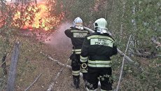 Пожар на территории полигона Погоново и Новоусманском лесничестве Воронежской области. 11 сентября 2018 Пожар на территории полигона Погоново и Новоусманском лесничестве Воронежской области. 11 сентября 2018