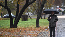 Дождь в Москве Дождь в Москве
