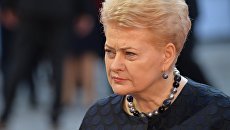 Президент Литвы Даля Грибаускайте перед началом неформального саммита глав стран-членов ЕС в Зальцбурге Президент Литвы Даля Грибаускайте перед началом неформального саммита глав стран-членов ЕС в Зальцбурге
