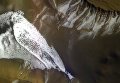 Склон гребня кратера, находящегося на равнине Сизифа (Sisyphi Planum) на Марсе Склон гребня кратера, находящегося на равнине Сизифа (Sisyphi Planum) на Марсе