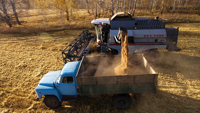 В Ростовской области урожай зерновых составил почти 11 миллионов тонн 