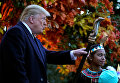 Президент США Дональд Трамп во время празднования Хэллоуина в Белом доме Президент США Дональд Трамп во время празднования Хэллоуина в Белом доме