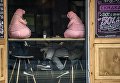 Два человека сидят в кофейне в центре Москвы. 5 ноября 2018 года Два человека сидят в кофейне в центре Москвы. 5 ноября 2018 года