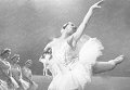 Народная артистка СССР Марина Семенова Народная артистка СССР Марина Семенова