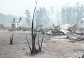 Деревня Криуши Клепиковского района Рязанской области Деревня Криуши Клепиковского района Рязанской области