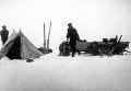 Георгий Седов на Земле Франца-Иосифа Георгий Седов на Земле Франца-Иосифа
