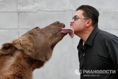 Фото с медведем степаном