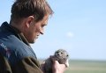 Манул в Даурском заповеднике Манул в Даурском заповеднике