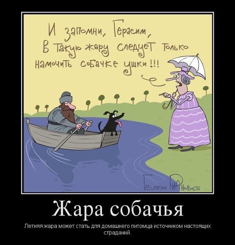 Жара собачья Жара собачья