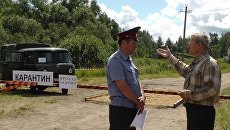 Масштабные учения по борьбе с африканской чумой свиней прошли под Костромой. Архивное фото Масштабные учения по борьбе с африканской чумой свиней прошли под Костромой. Архивное фото