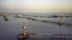 Нефтяные сооружения на Каспийском море. Архивное фото Нефтяные сооружения на Каспийском море. Архивное фото