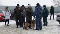 Полицейские нашли на снегу школьный дневник пропавшей в Татарстане девочки Полицейские нашли на снегу школьный дневник пропавшей в Татарстане девочки