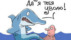 До чего доводят акулы До чего доводят акулы