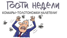Итоги недели в карикатурах. 20.05.2013 - 24.05.2013 Итоги недели в карикатурах. 20.05.2013 - 24.05.2013