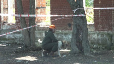 Более 100 потерявшихся человек нашли собаки-спасатели на учениях во Владивостоке Более 100 потерявшихся человек нашли собаки-спасатели на учениях во Владивостоке