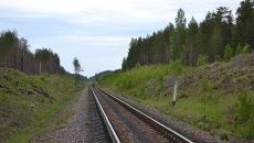 Железная дорога в Ленобласти. Архивное фото Железная дорога в Ленобласти. Архивное фото