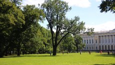 Дуб Михайловского сада. Архивное фото Дуб Михайловского сада. Архивное фото