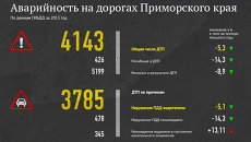 Аварийность на дорогах Приморского края Аварийность на дорогах Приморского края